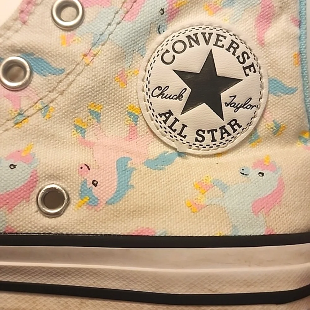 Converse Chuck Taylor All Star Unicorn High Tops
